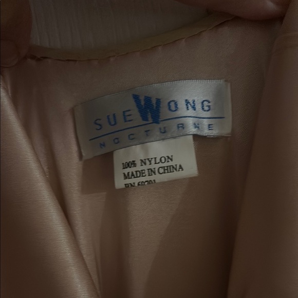 Sue Wong Elegant Cream Gown - Picture 3 of 9